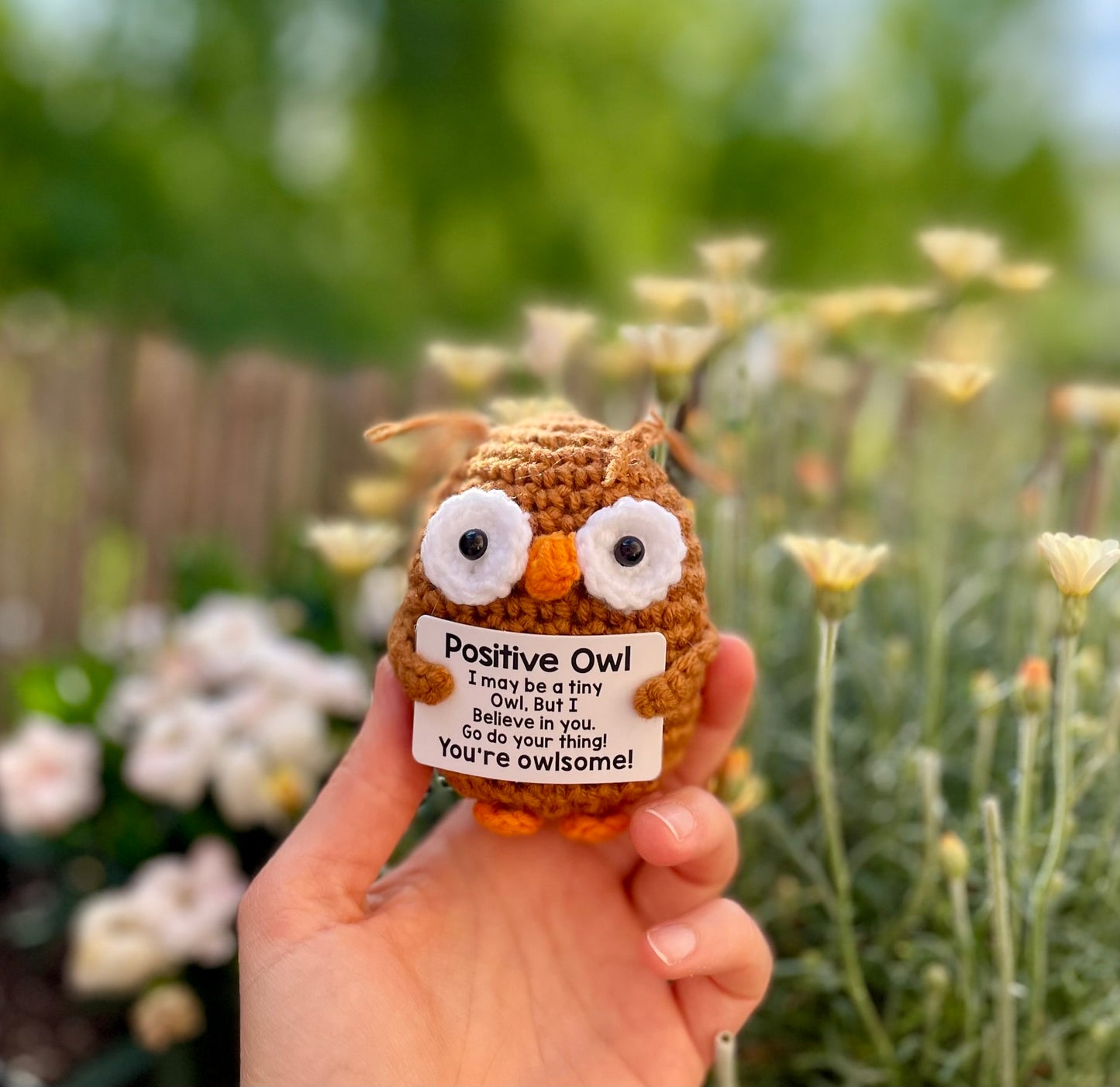 Positive Owl draußen fotografiert